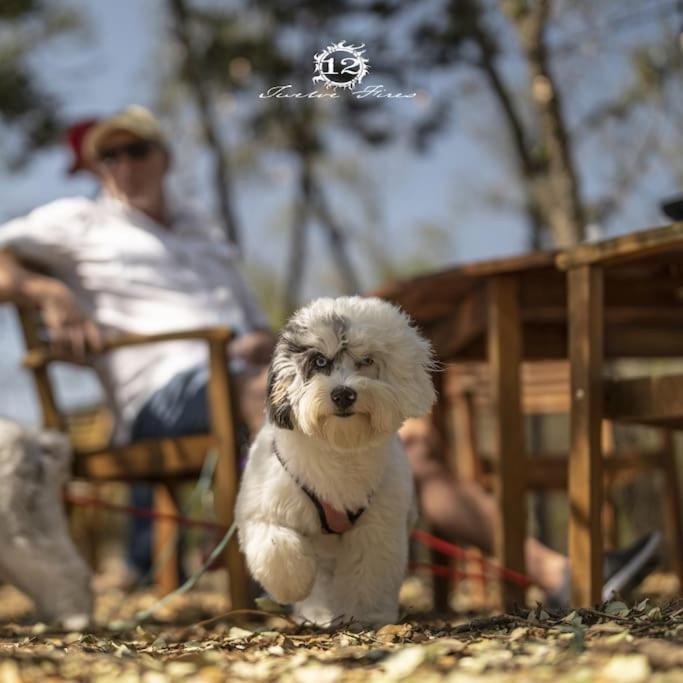 12 Fires Luxury Glamping With Heating #2 호텔 존슨 시티 외부 사진